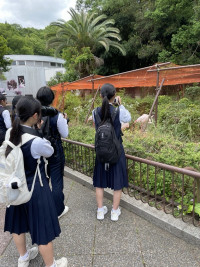 動物園(2)