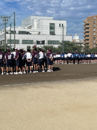 Image (1)