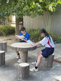 Image (3)
