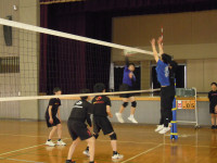 DSCN6206
