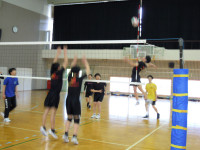 DSCN6225