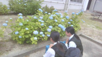 WIN_20250530_15_59_46_Pro