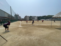 Image (7)