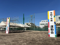 IMG_4083 (2)