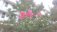 WIN_20250910_11_38_52_Pro